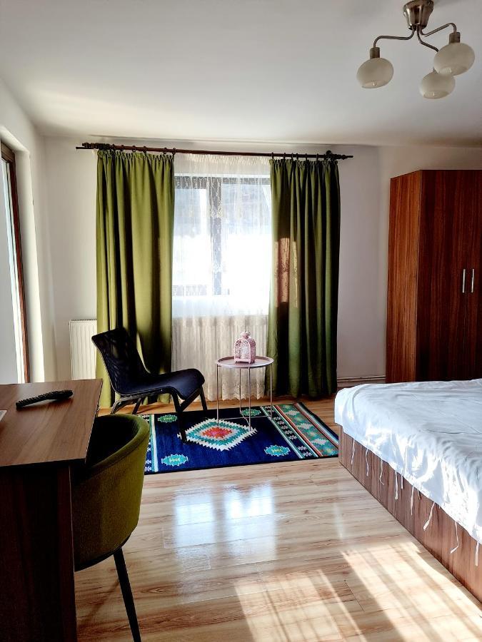 Casa Teodor Rucar Casa De Oaspeti Eksteriør bilde