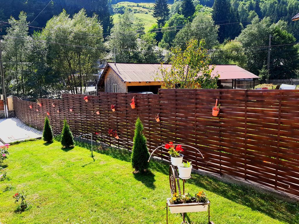 Casa Teodor Rucar Casa De Oaspeti Eksteriør bilde
