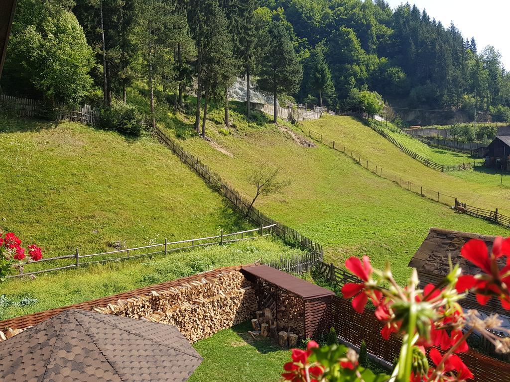 Casa Teodor Rucar Casa De Oaspeti Eksteriør bilde
